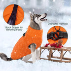 Kuoser Medium Dog Coat | All-Breed Thermal Wear with Windproof Layer | Reflective Tabs Enhance Visibility in Snow, Snap Buckles Simplify Dressing, Orange M