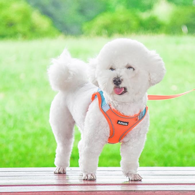 AIITLE Easy Walk Dog Harness and Leash Set - Pet Supply No Pull, Step in Adjustable Pet Harnesses with Padded Vest for Summer, No Choke Over, Easy to Put on Medium Dogs Orange L