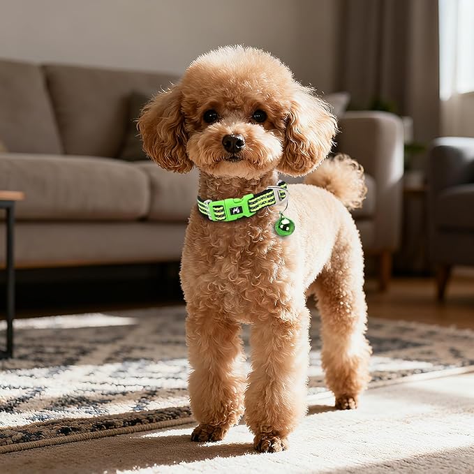 Small Dog Collar with Bell Reflective - Adjustable Tiny XS XXS Breed Collar for Girl Boy Chihuahua Puppies, Night Walk Safety Accessory（Green S）