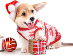 6 Pcs Puppy Clothes for Christmas Winter Warm Cute Pet Sweaters Flannel Dog Vest Paw Print Cat Clothes for Chihuahua Dachshunds Male Female Puppy(Animal Pattern,L(Body Length:13.8” Chest:17.7”))