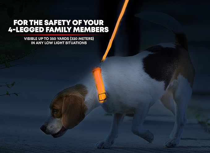ILLUMISEEN LED Dog Collar USB Rechargeable - Bright & High Visibility Lighted Glow Collar for Pet Night Walking - Weatherproof, in 6 Colors & 6 Sizes (Orange X-Large)