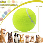 Swingers Squeaky Tennis Balls for Dogs,2.5 inch Training Tennis Balls,Exercise Ball for Pet Dog with Mesh Carry Bag Easy to Transport (Yellow, 6 Pack)