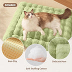 Cat Beds for Indoor Cats Faux Fur Pet Mat Cute Kitten Plush Bed with Non-Slip Bottom for Carriers/Sofa Dog & Puppy Friendly 27 x 20 Inch Large Green