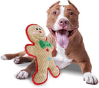 ALL FOR PAWS Dog Squeaky Toys Christmas Dog Gifts Toys Enrichment Fetch Toys Holiday Birthday Gift for Medium to Large Dogs
