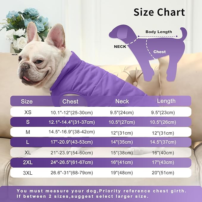 2 Layers Fleece Lined Warm Dog Jacket for Winter Cold Weather,Soft Windproof Medium Dog Coat,Purple L
