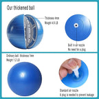 Herding Ball for Dogs:25 inch