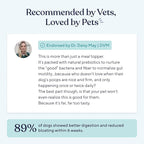 Pawfy Probiotics for Dogs | Supports Digestive Health, Diarrhea for Small, Large Dogs | Improves Gut Health | Anti Yeast Supplements | Skin Health Seasonal Allergies Support - 30 Chews (Bacon)