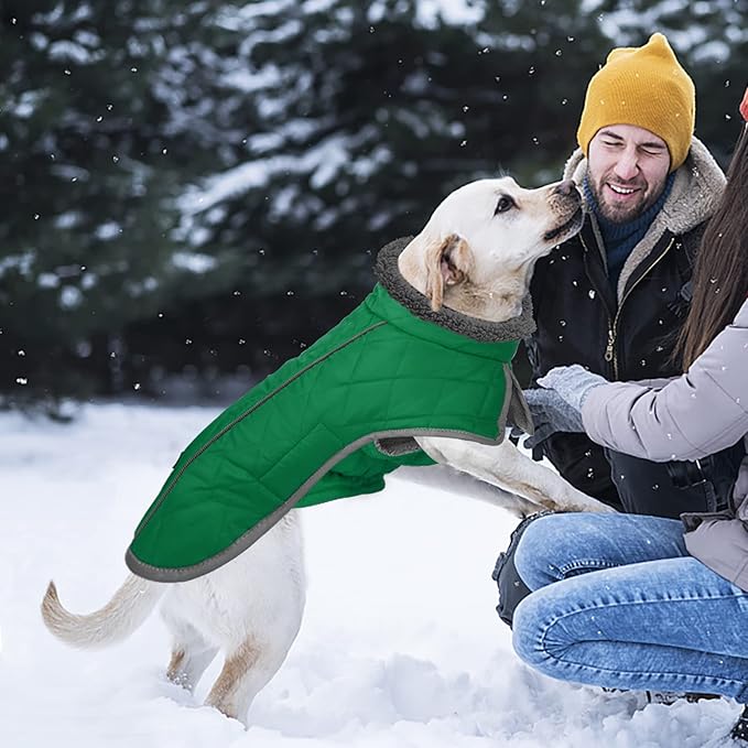 Fragralley Dog Coat Large, Waterproof Dog Jacket with Warm Fleece Lining, Adjustable Reflective Dogs Winter Coat, Turtleneck Pet Coats for Cold Weather (Green L)