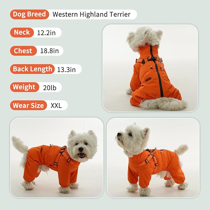 BRKURLEG Dog Raincoat for Small Dogs, Small Dog Rain Jacket with Harness Built in, Waterproof 4 Legs Pet Raincoats, Puppy Outdoor Jacket with Reflective Strip, Orange, L