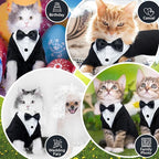 QBLEEV Cat Tuxedo Suit, Cat Halloween Costumes for Cats Only, Sphynx Cat Tuxedo Outfit Costume with Bow Tie, Kitten Formal Attire Wedding Birthday Onesie Clothes for Male Girl Hairless Cats