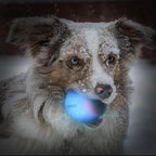 LaRoo LED Dog Ball, Dog Toys Silicon Glowing LED Dog Ball with USB Rechargeable Glow in The Dark Dog Ball Teeth Cleaner Training Ball(White)