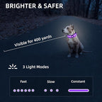 Super Bright LED Dog Collar - Fully Waterproof & Adjustable Glow Collar - USB-C Rechargeable for Night Walking, Safety - Flashing Lighted Collar for Dogs(Purple,Small)