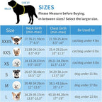 AIITLE Tiny Dog Harness - Lightweight Mesh Step-in Vest for Puppy, Reflective & Escape-Proof Design with High-Stick Magic Tape - Indoor/Outdoor Use for Chihuahua, Maltese, Shih Tzu(Blue, XXXS)