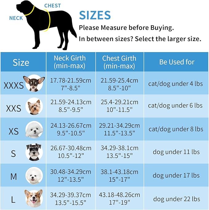AIITLE Teacup Puppy Harness with Leash - Adjustable Soft Vest with Magic Tape & Reflective Safety Strips, Easy-Put-On for Poodles, Pomeranians - Gym, Hiking, Travel (Turquoise-Pink, S)