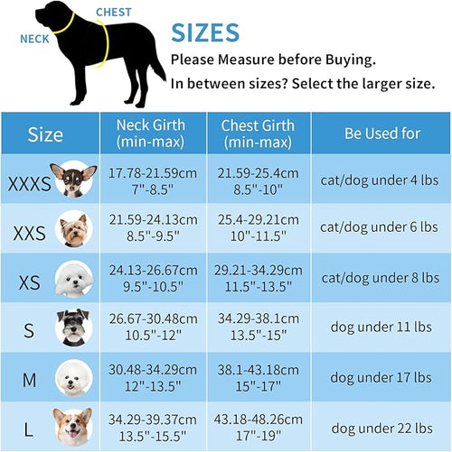 AIITLE Escape-Proof Dog Harness - Extra Soft Jacquard Fabric with Moisture-Wicking Lining, Adjustable Fit for Boston Terrier, Pekingese - Running, Playdates, Outdoor Adventures (Turquoise-Pink, L)