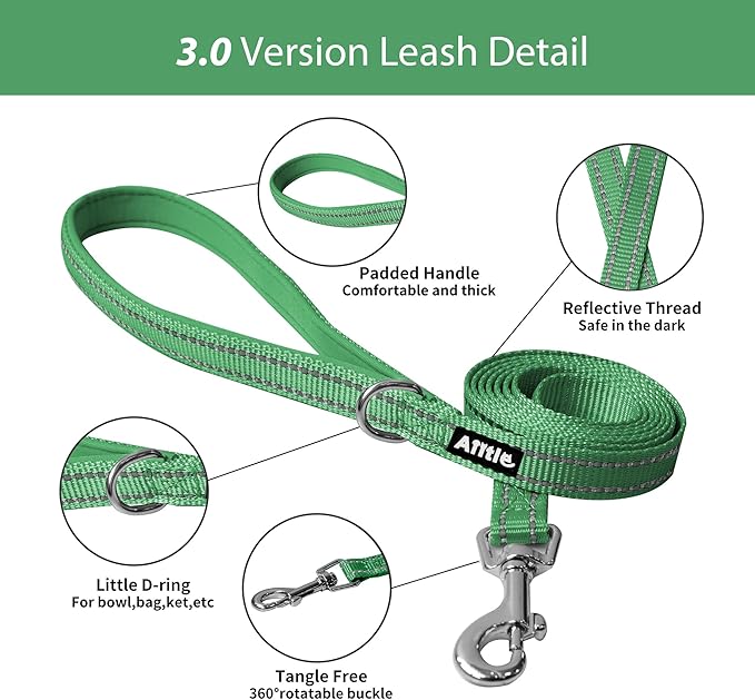 AIITLE Small Harness for Puppy with A Leash - Summer Dog Vest Harness with Super Breathable Mesh, Reflective No-Pull Pet Harness for Outdoor Walking, Camping for Small Dogs, Cats Green XXS