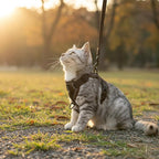 Cat Harness and Leash Set Escape Proof Tactical Small Kitten Harness Emotional Support Cat Vest, Brown, S