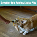 SPOT Skinneeez Flying Squirrel 14 Inch Stuffing-Free Plush Squeaky Dog Toy – Soft Tug-of-War Toy for Small and Medium Dogs – Mess-Free Interactive Chew Toy for Moderate Chewers