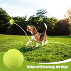 20 Pack Bulk Tennis Balls for Dogs, 2.5 Inch Mini Tennis Balls for Pet Playing Fecth, Yellow Interactive Easy Catching Dog Playing Ball for Small Size Dogs Puppy Pet Playings Exercise and Practice