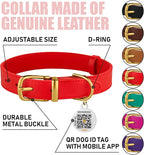 BRONZEDOG Leather Dog Collar with Metal Buckle Durable Basic Pet Collars for Small Medium Large Dogs (14-17 Inch (Pack of 1), Red & Gold Buckle)