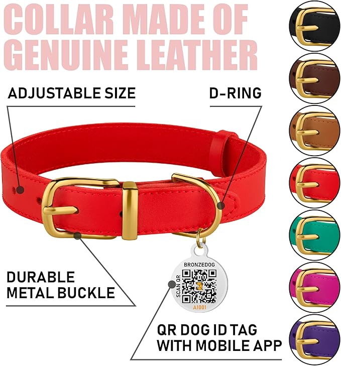 BRONZEDOG Leather Dog Collar with Metal Buckle Durable Basic Pet Collars for Small Medium Large Dogs (14-17 Inch (Pack of 1), Red & Gold Buckle)