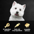 Cesar Simply Crafted Adult Wet Dog Food Meal Topper, Beef, Chicken, Purple Potatoes, Peas & Carrots, 1.3oz. (10 Count, Pack of 1)