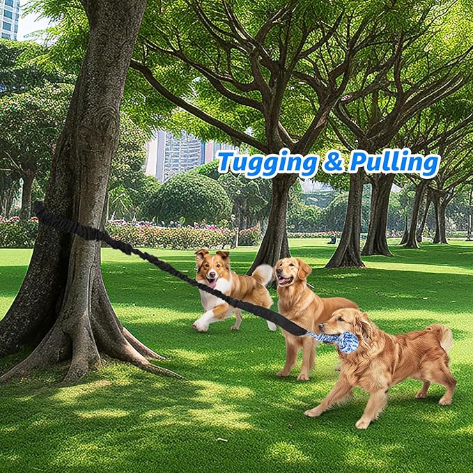 LOOBANI Spring Pole Dog Rope Toys - Tug of War Dog Toy for Pitbull Medium to Large Dogs, Indoor Outdoor Use Bungee Hanging Exercise Ropes Muscle Builder Interactive Toys (Door Hanging Style)