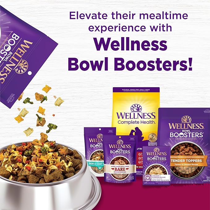 Wellness Complete Health Senior Dry Dog Food, Small Breed, Wholesome Grains, Natural, Age Advantage Turkey & Peas Recipe, (4-Pound Bag)