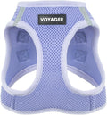 Best Pet Supplies Voyager Step-in Air Harness - All Weather Mesh, Reflective, No Pull Harness for Dogs, Cats - Secure with Hook & Loop Fastener, Buckle, Double D-Rings - Lavender, S
