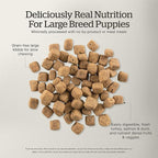 Now Fresh Grain-Free, Dry Dog Food, Real Meat and Fish, Turkey, Salmon and Duck Large Breed Puppy Recipe, 12 lb Bag