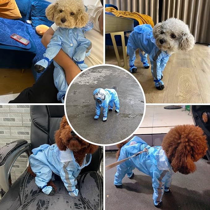 Full Coverage Small Dog Raincoat, Waterproof with Four-Leg Protection, Ideal for Teddy Bears, Includes Waterproof Mini Backpack (Yellow, Medium(Suggest Weight 5.5-8.8lb))