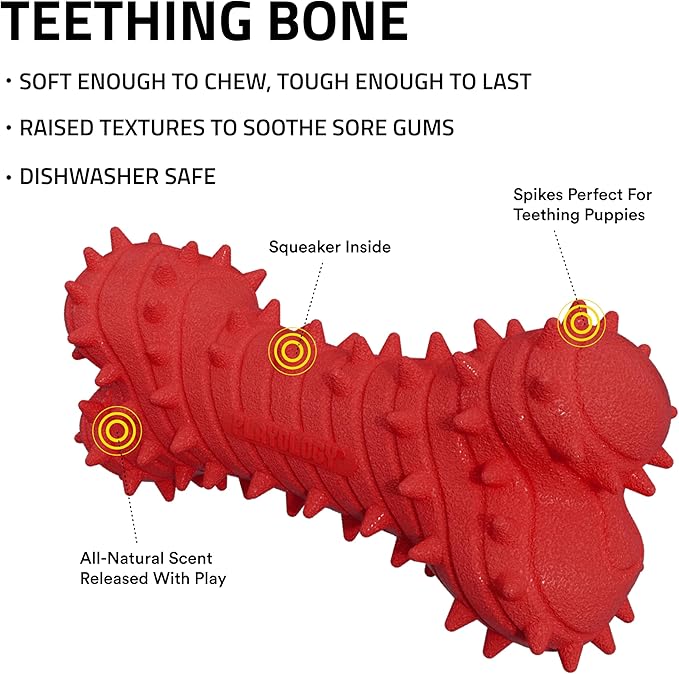 Playology Dog Toys | Puppy Toy Teething Bone Designed for Young & Active Dogs | Jumbo Beef Scented Toy Made from Non Toxic Materials