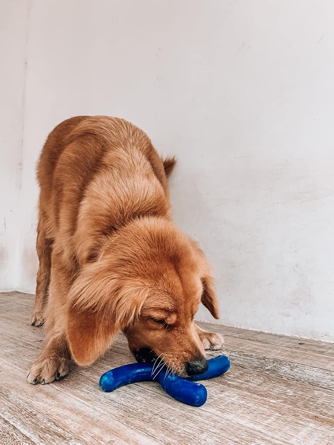 Tuff Pupper SuperChewy Tough Boomerang Toy | Lifetime Replacement | Strong Natural Rubber | Great Dog Fetch Toy | Toys for Dogs | Ultra Durable Chew Toys for Aggressive Chewers | for Large Breeds