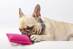 Dingo Dog Tug Toy with Handle, Dog Bite Pillow for Tug of War, Dog Bumper Floating on The Water, Colorfull Cotton, Size S, Z30001