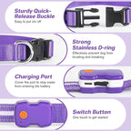 PcEoTllar Light Up Dog Collars, Led Dog Collar, Rechargeable, Night Walking, Waterproof, Glow in The Dark Dog Collars Light for Large Small Medium Dogs, Purple m