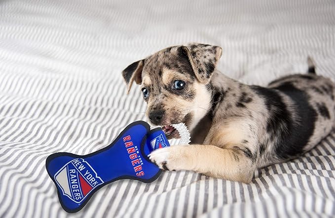 Pets First NHL New York Rangers Dental Dog TUG Toy with Squeaker. Tough PET Toy for Healthy Fun, Teething & Cleaning Pet's Teeth & Gum., one Size (NYR-3310)