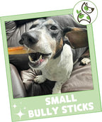 Nature Gnaws Small Bully Sticks for Dogs 5-6" (15 Count) - Long Lasting for Light Chewers and Puppies - Natural Thin Beef Dog Chew Bones - Rawhide Free