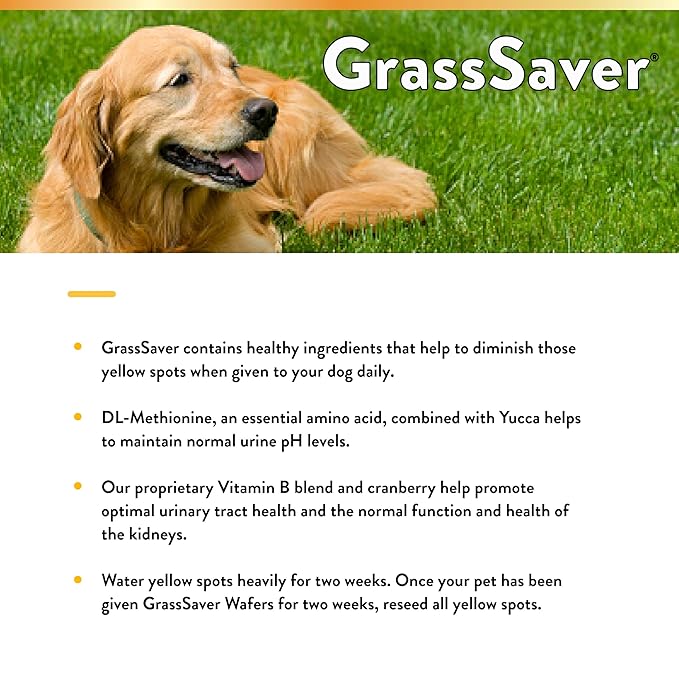 NaturVet – GrassSaver Wafers for Dogs Plus Enzymes – 300 Wafers – Healthy Supplement to Help Rid Your Lawn of Yellow Spots – Synergistic Combination of B-Complex Vitamins & Amino Acids