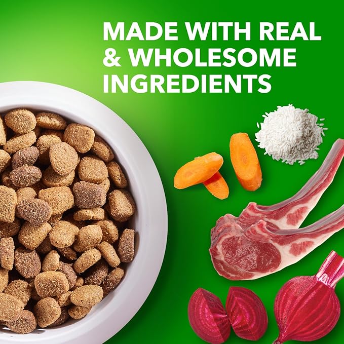 IAMS Proactive Health Large Breed Adult Dry Dog Food Lamb & Rice Recipe, 30 lb. Bag