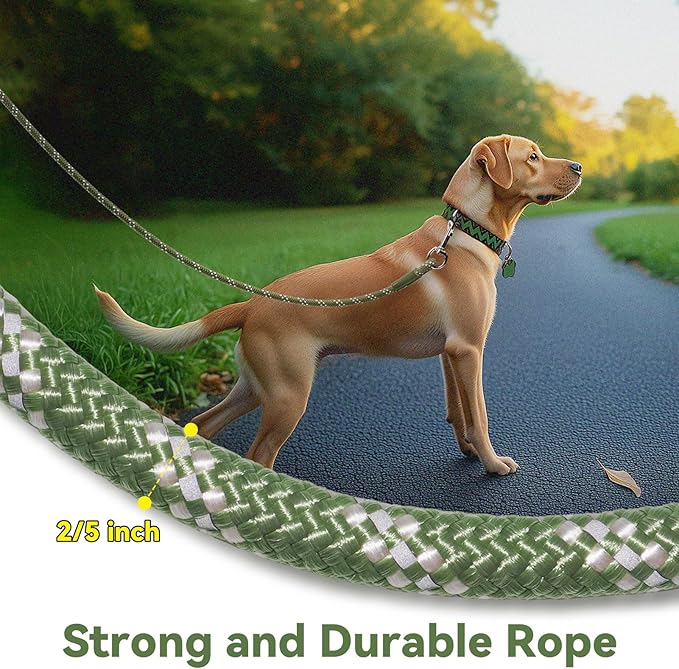 Nylon Dog Leash 6FT 10FT 20FT 30FT Diameter 2/5 Inch with Comfortable Silicone Handle Highly Reflective No Tangle for Medium Large Dogs Outside Walking Camping Backyard. (Green, 10FT)