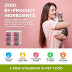 Pure Cravings Wet Cat Food Canned Salmon Cutlets in Gravy, 100% Mercury-Tested, Moist Can Fish for Cats, Grain-Free, Protein, Non-GMO, Pack of 12