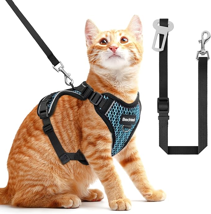 Cat Harness and Leash for Walking Escape Proof Soft Adjustable Cat Leash Breathable Honeycomb Structure Comfortable Vest Easy to Wear Kitten Harness for Outdoor Travel, Honeycomb Blue, S