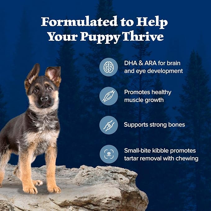 Blue Buffalo Wilderness Puppy High-Protein Dry Dog Food with Real Chicken, Grain-Free, Made in the USA with Natural Ingredients, Chicken, 4.5-lb Bag