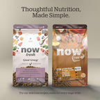 Now Fresh Grain-Free, Dry Dog Food, Real Trout, Salmon and Herring Adult Recipe, All Breed Size, 22 lb Bag