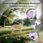 Plutus Pet Reflective Dog Collar with Aviation Aluminum Buckle, Neoprene Padded for Comfort, Lightweight, Heavy Duty Nylon Collar for Puppy Small Medium Large Dogs (Lilac Purple, S)