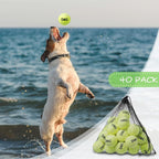 40 Pack Tennis Balls Dog Toys Bulk 2.5 Inch with Carry Bags, Easy Catching Interactive Fetch for Pet Puppy Small Medium Large Dogs Training Exercise and Practice