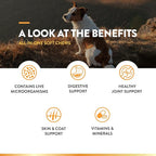 NaturVet All-in-One Dog Supplement - for Joint Support, Digestion, Skin, Coat Care – Dog Multivitamins with Minerals, Omega-3, 6, 9 – Wheat-Free Vitamins for Dogs – 60 Soft Chews