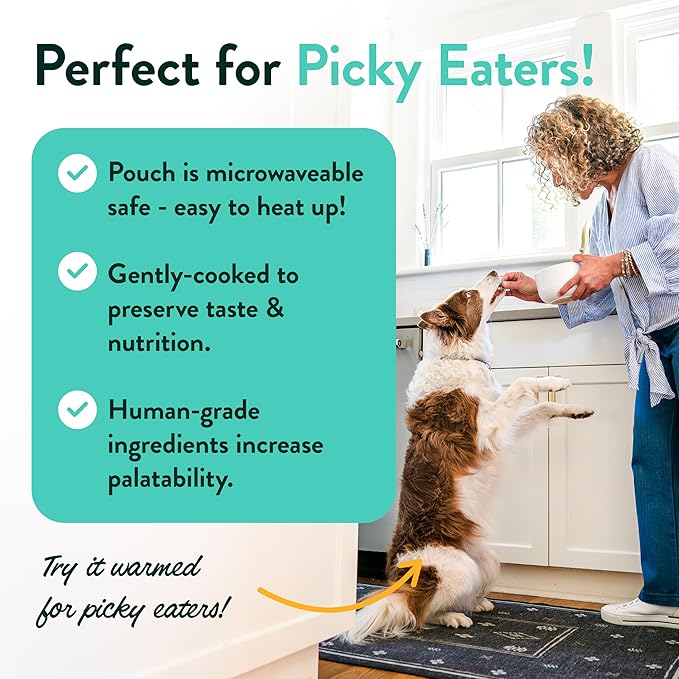 Portland Pet Food Company Fresh Dog Food Pouches - Human-Grade Toppers Wet Pet Meal & Mixers - Small & Large Breed Puppy & Senior Dogs - Gluten-Free, Limited Ingredient Salmon & Beef - 8 Pack Variety