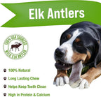 Buck Bone Organics Dog Chews, Elk Antlers for Dogs, Long Lasting Dog Bones for Aggressive Chewers, All Natural, No Preservatives, Wild Shed in The USA (Jumbo)