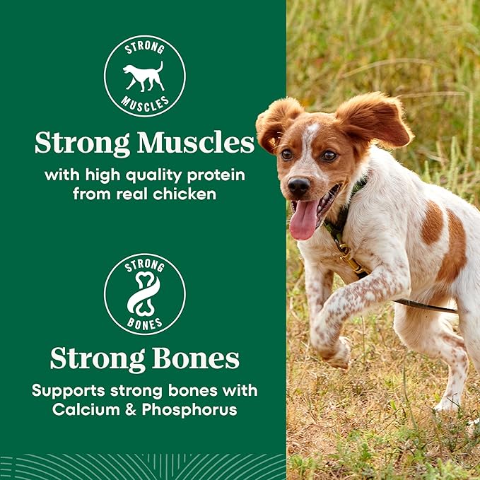 Nutro Natural Choice Chicken & Brown Rice Adult Small Bites Dog Food Recipe, 13 lb. Bag